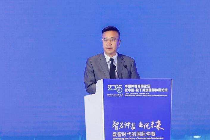 高子程：律师要不断提升数智素养和涉外法律服务水平