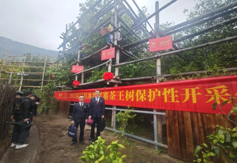 QQ20250508-161908