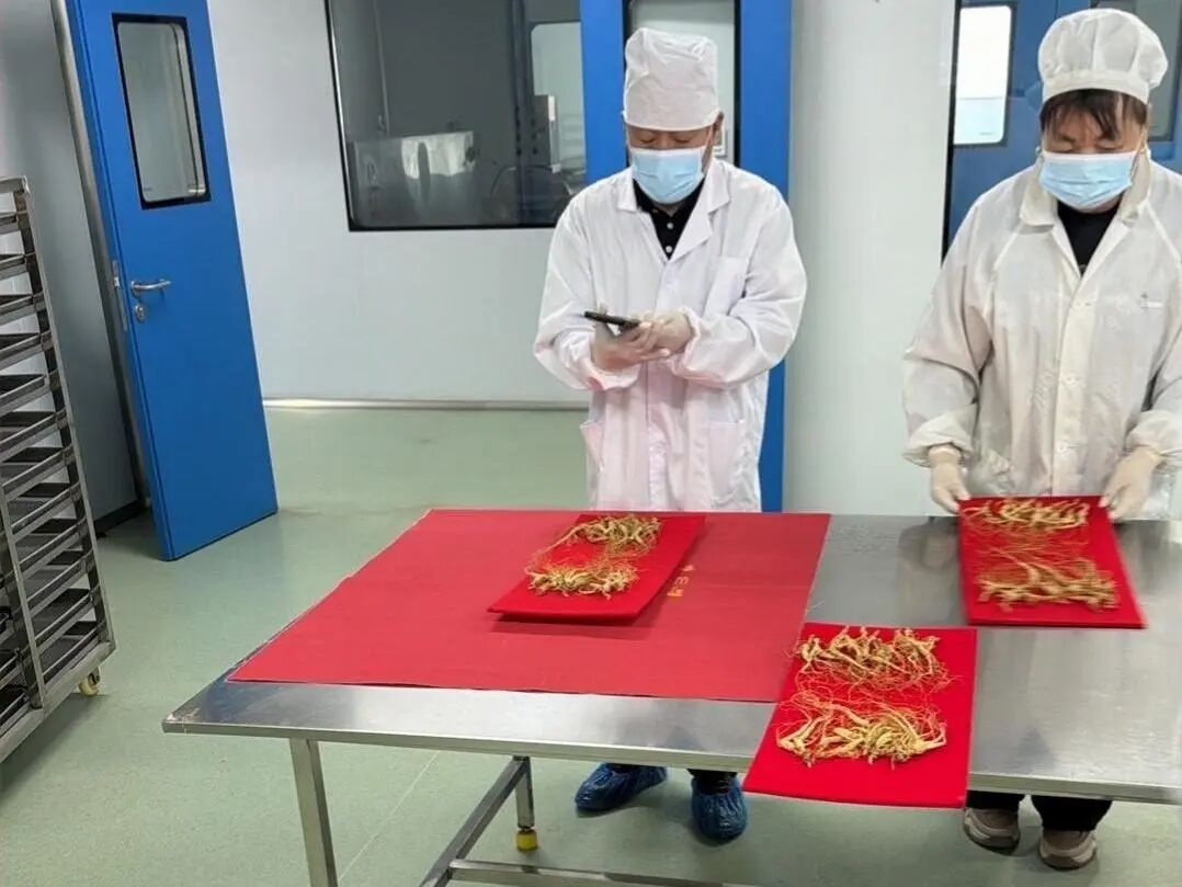 创新应用“公证+防伪”模式 为野山参产品贴上“安全锁”