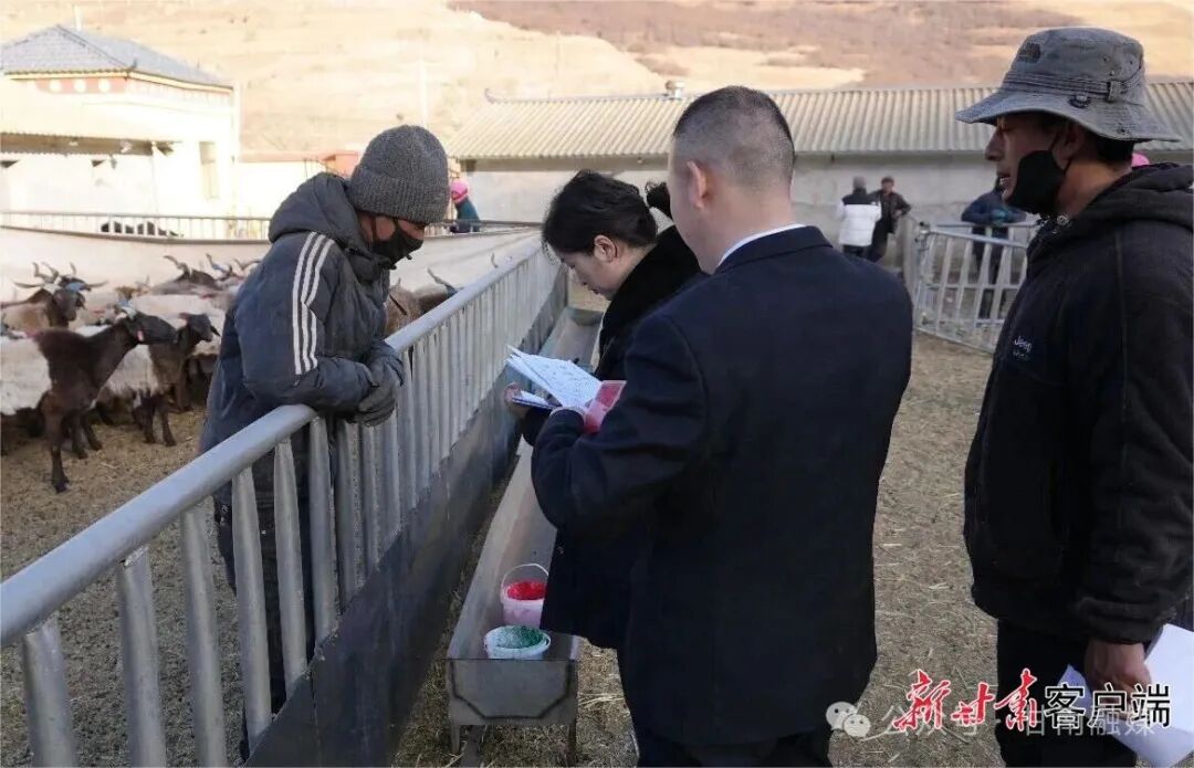 甘南州办理首例“羊群代放养”合同公证