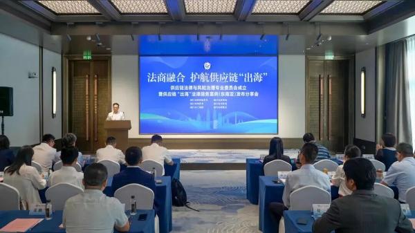 精准对接产业发展需求，为企业出海搭平台、定规则、化风险2