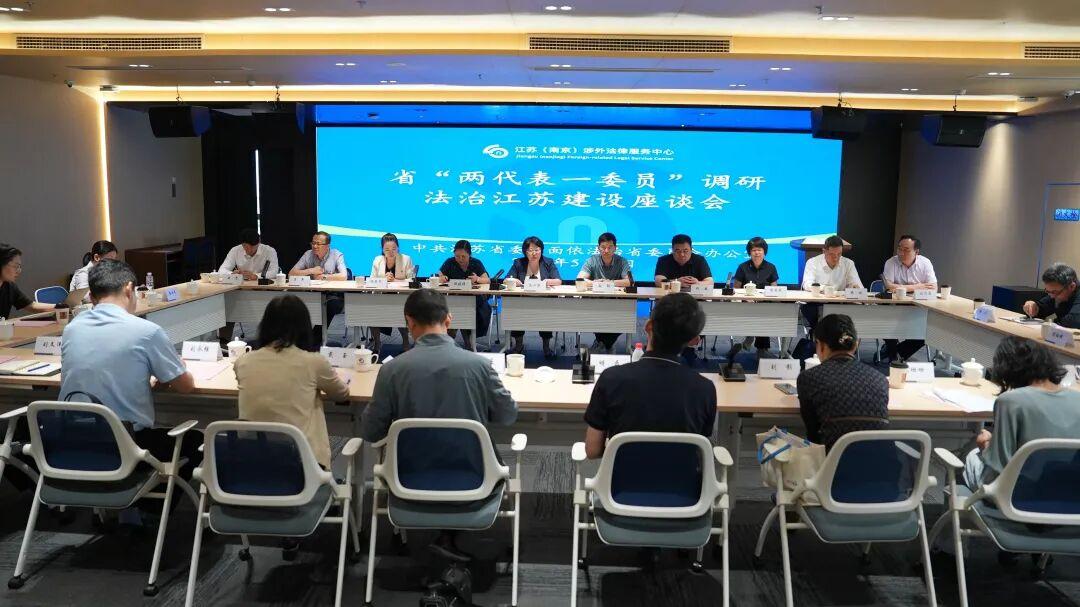 江苏“两代表一委员”共商把脉涉外法治建设3