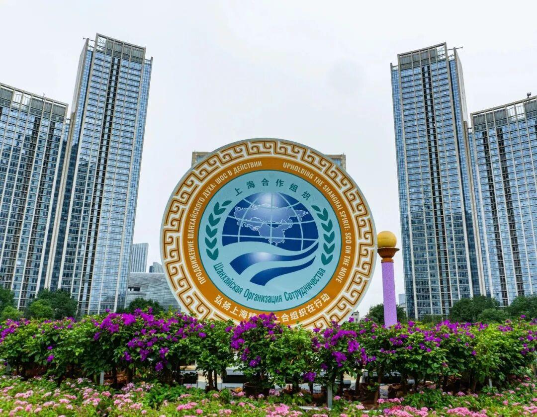 走过四分之一个世纪，它已成长为世界最大区域组织1