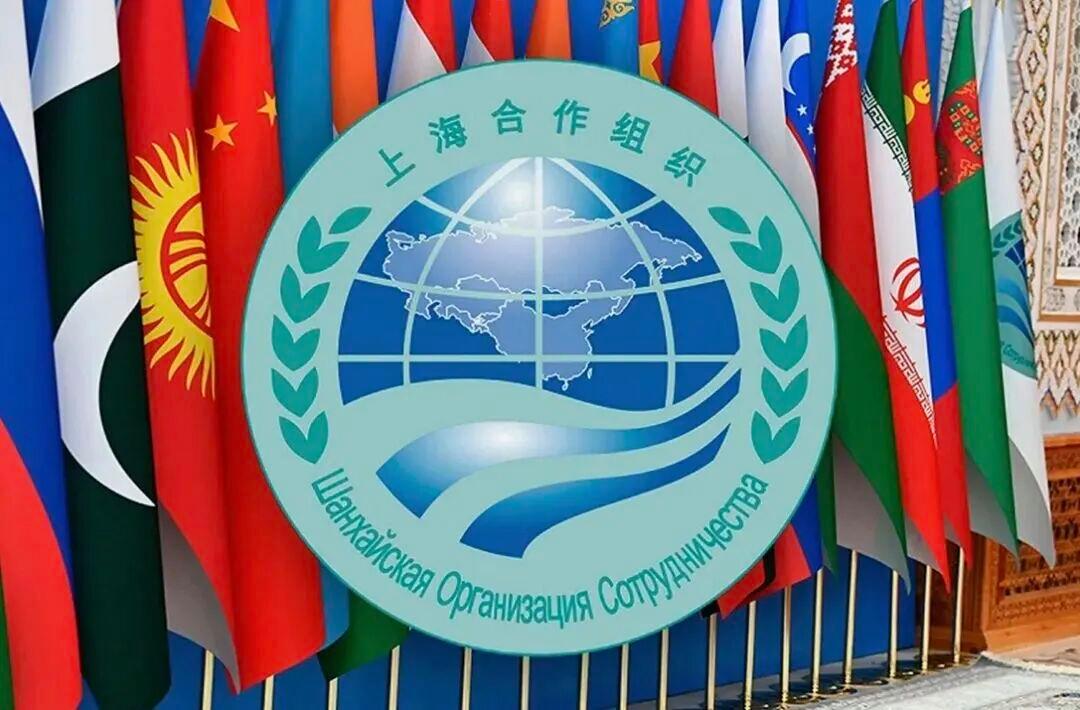 走过四分之一个世纪，它已成长为世界最大区域组织3